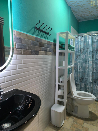 Bathroom, Rainforest Lodge del Rio, Portobelo