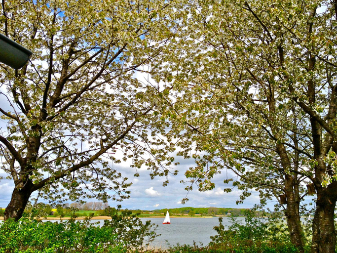 Others 5, Schlei Resort Marina Hulsen, Rendsburg-Eckernförde
