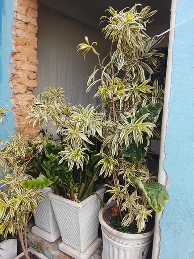 5, Hostel mineiro, Belo Horizonte