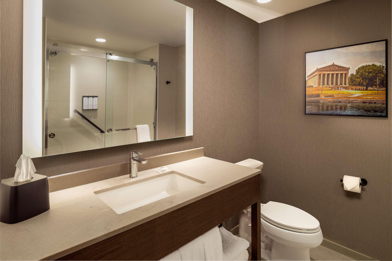 Bathroom 4, Hyatt Place Nashville Green Hills, Davidson