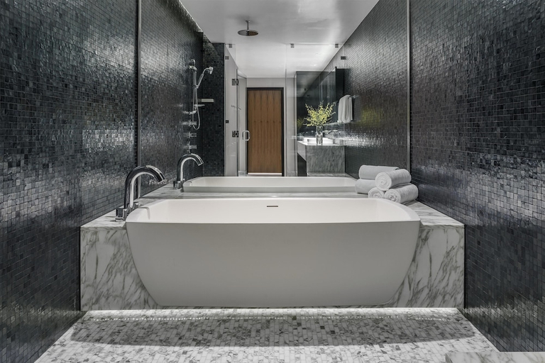 Bathroom 5, Hyatt Regency Tysons Corner Center, Fairfax