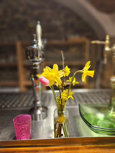 Food & Drinks 3, Auengut Bertsdorf, Görlitz