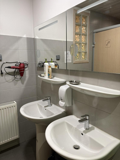 Bathroom 5, Alpenrose - Hostel, Haute-Savoie