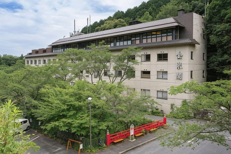 Exterior & Views 1, Hotel Kinsenkaku, Toyota