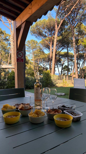 Food & Drinks 5, VILLA Plages de la Nartelle- Sainte Maxime - piscine privee, Var