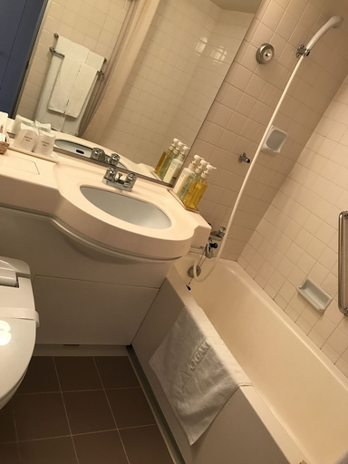 Bathroom 4, Ogaki Forum Hotel, Ōgaki