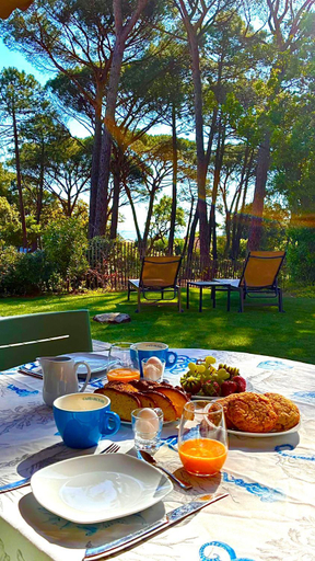 Food & Drinks 4, VILLA Plages de la Nartelle- Sainte Maxime - piscine privee, Var