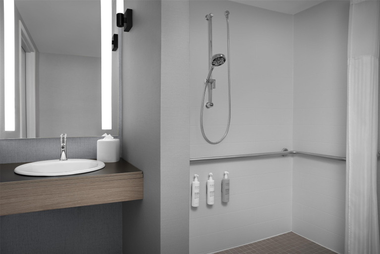 Bathroom 4, Hilton Garden Inn Auburn/Opelika, Lee