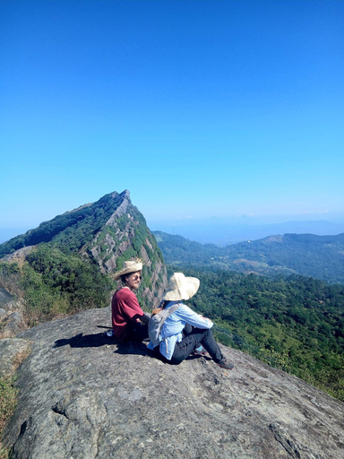 Others 2, The Off Road Homestay, Delthota