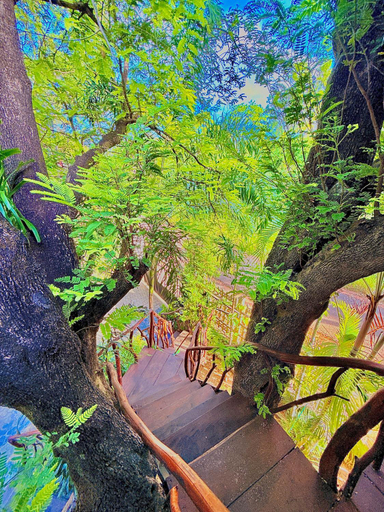 Others 4, Levona Garden Resort, Hingurakgoda