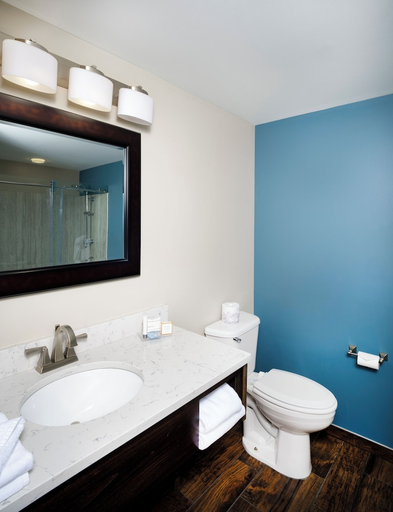 Bathroom 4, The Lodge At Geneva On The Lake, Ashtabula