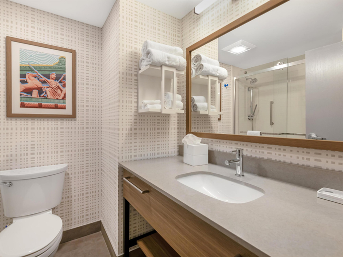 Bathroom 4, Hampton Inn & Suites Nashville/Franklin (Cool Springs), Williamson