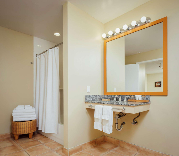 Bathroom, Wild Palms, a Jdv by Hyatt Hotel, Santa Clara