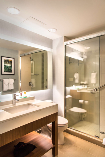 Bathroom 5, Hyatt Place Charlottesville, Albemarle