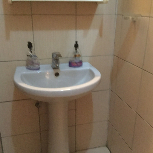 Bathroom 4, BOUGAINVILLERS, Golfe (incl Lomé)