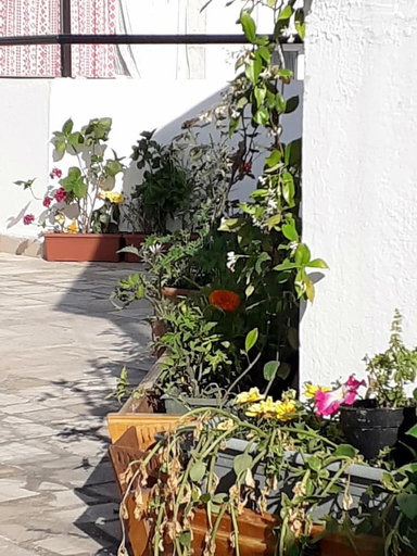Others 5, Turgutreis Bolero Apart Hotel, Bodrum