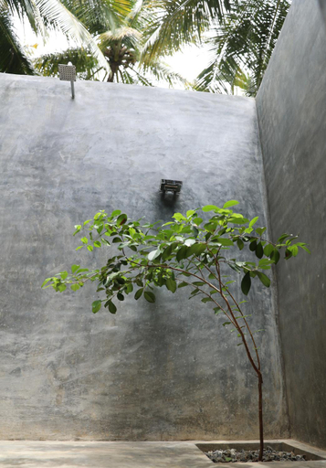Bathroom 3, Aji fruit farm cottage peaceful lakeside farm stay with sunrise views 02, Embilipitiya