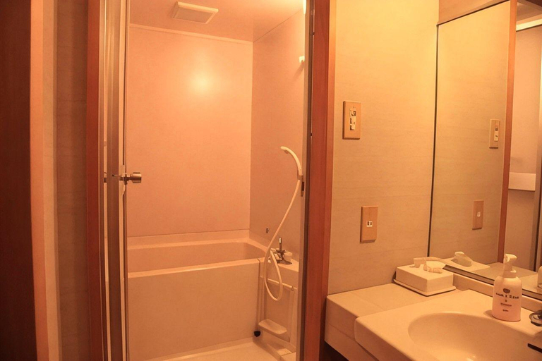 Bathroom 3, Hiratakan, Takayama