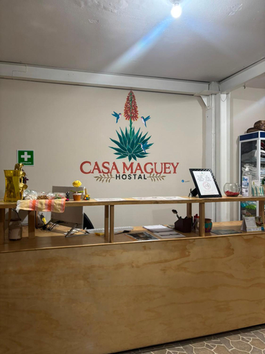 Public Area, Hostel Casa Maguey, Del Centro