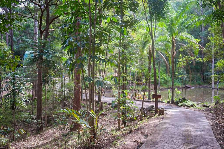 Others 5, LAKE VIEW CHALET Australia Zoo close by, Caloundra - Rail Corridor