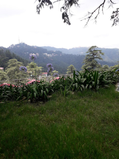 Others 5, Hotel Lords Regency - Connected to the Mall Road, Shimla
