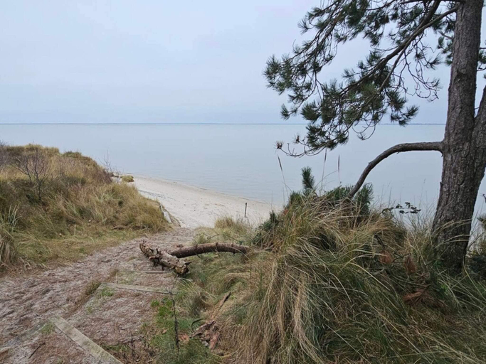 Others 5, 6 person holiday home in Rømø, Tønder