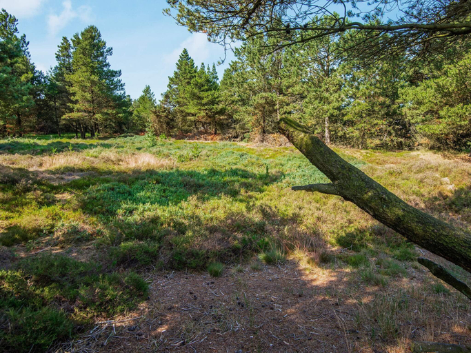 Others 4, 6 person holiday home in Rømø, Tønder
