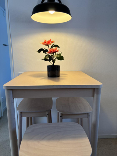 Others 4, Frost Longstay City, Kiruna