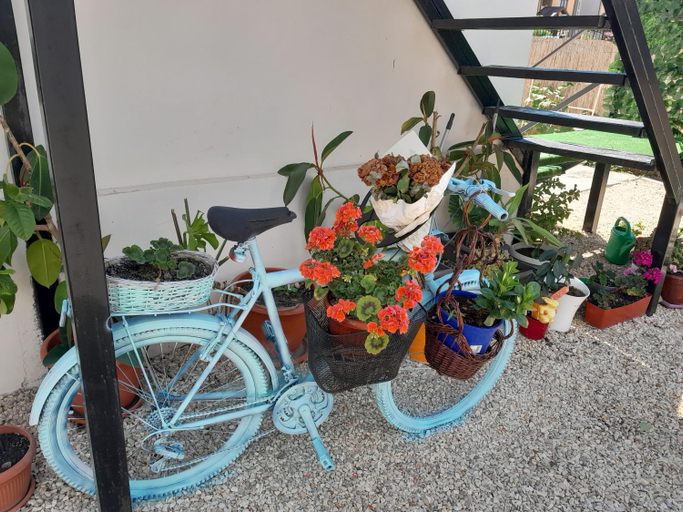 Others 3, Casa Octavia, Costinesti