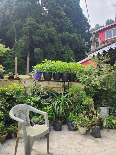 Others 5, VERONICA ALPINA HOME STAY, DARJEELING INDIA, Darjiling