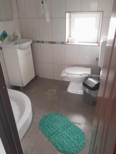 Bathroom 5, Casa Octavia, Costinesti