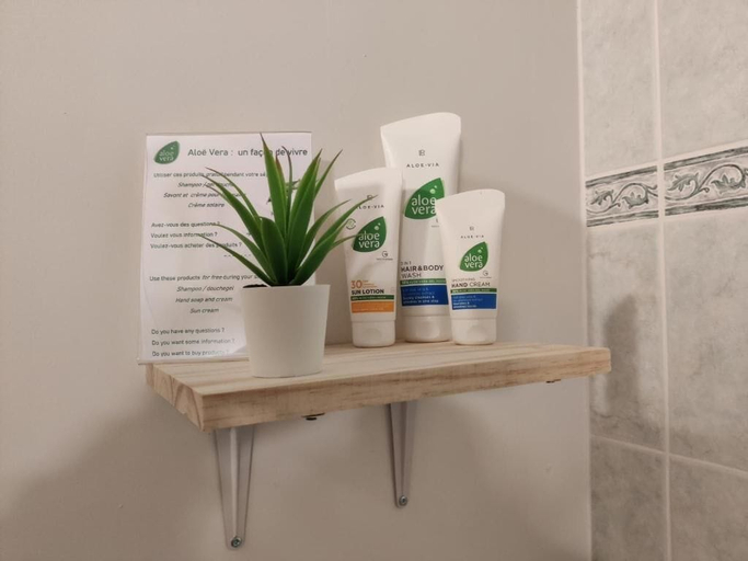 Bathroom amenities, Bed & Breakfast Chez Mon Reve, Indre