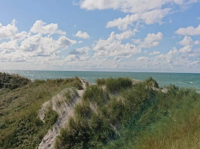 Others 5, 6 person holiday home in Blokhus, Jammerbugt