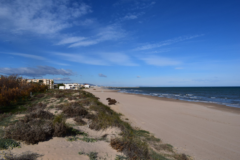 Room 5, Ap437 in Oliva With 2 Bedrooms and 1 Bathrooms, Valencia
