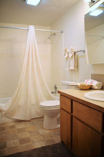 Bathroom 3, Timbers at Island Park, Fremont