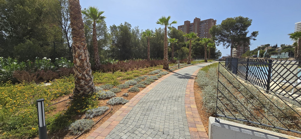 Room 2, Benidorm Beach 19-153, Alicante