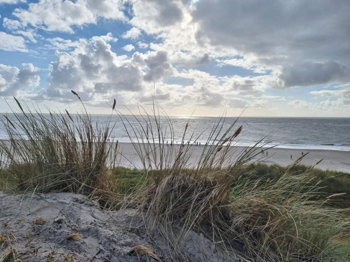 Others 5, 6 person holiday home in Blåvand, Varde