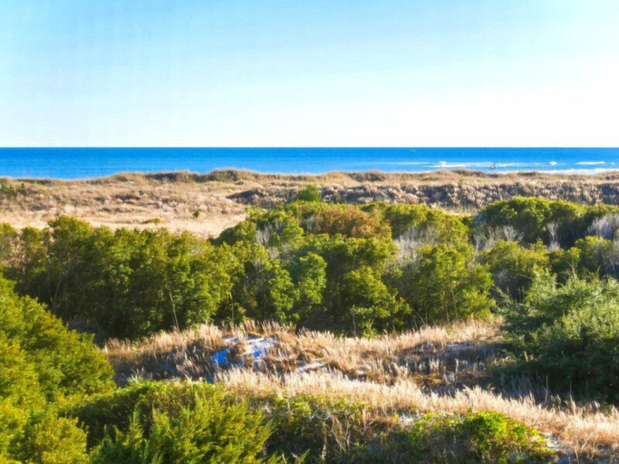 Property amenity 2, Baylin B #11B by Topsail Realty, Pender