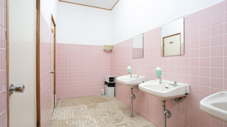 Bathroom 4, MIZUKAMISO Kumamoto Yuyama Onsen, Mizukami