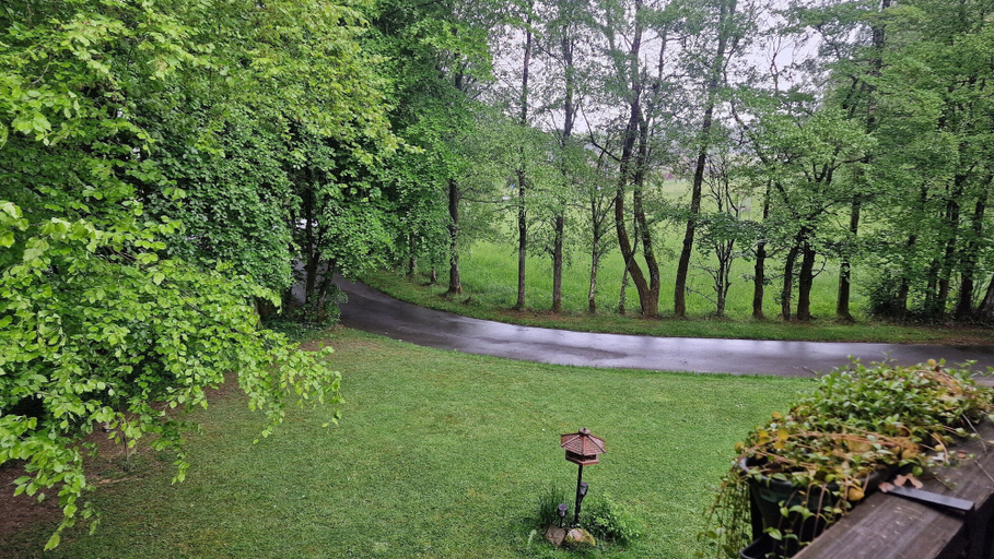View from property 4, Charming Holiday Home in Malmedy, Liège