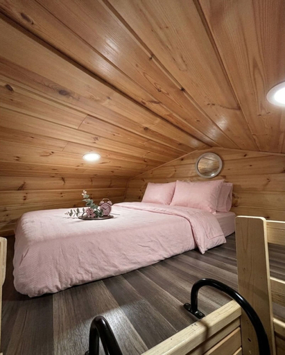 Room 2, Pink Saddle in Indianapolis, Indianapolis