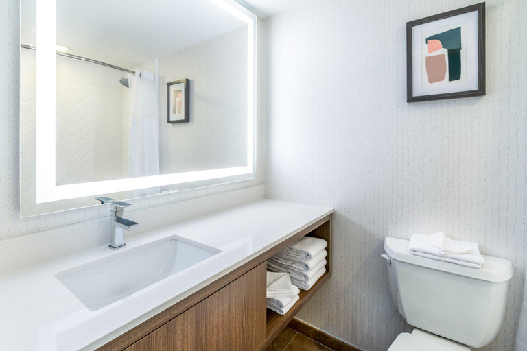 Bathroom 5, Holiday Inn Frisco by IHG, Summit