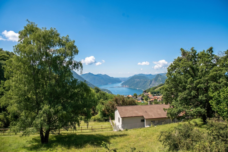 Miscellaneous 4, Luxury Nature Retreat Villa Planchette, Lugano