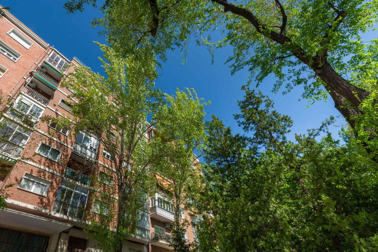 Room 3, Republica 2BR apt Near Madrid s Financial Center, Madrid