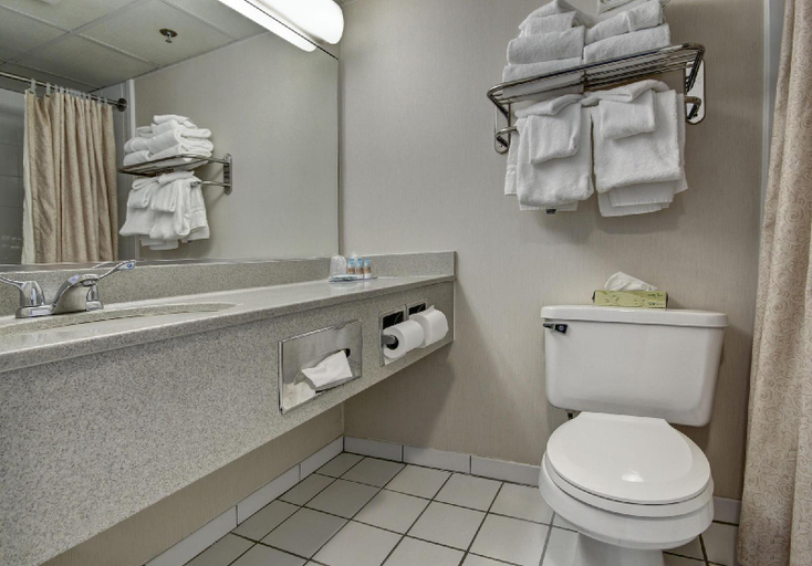 Bathroom 5, Carousel Resort Hotel and Condominiums, Worcester