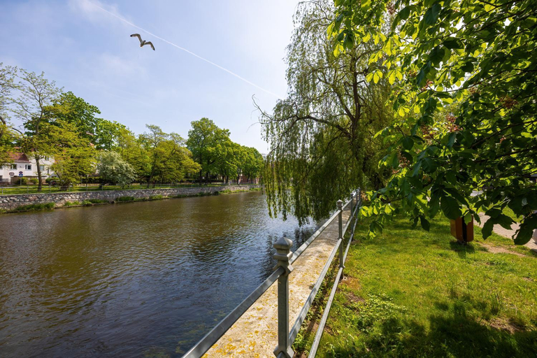 Others 4, Seaside Apartamenty Platany Kolobrzeg-Centrum, Kołobrzeg