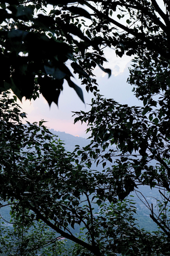 Miscellaneous 3, Aarohan - By Shivaneel Hospitality, Nainital