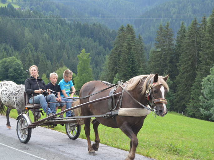 Others 2, Spacious Holiday Home in Niedernfritz With Private Terrace, Sankt Johann im Pongau