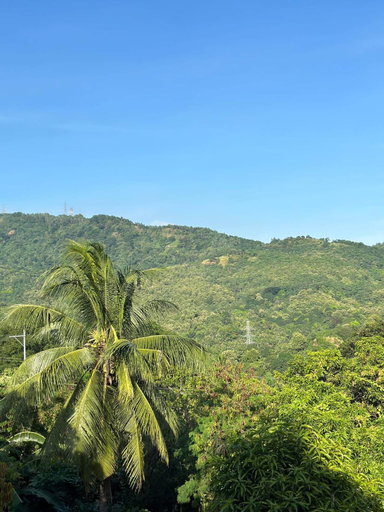 Others 5, The Mansion - Olongapo, Olongapo City
