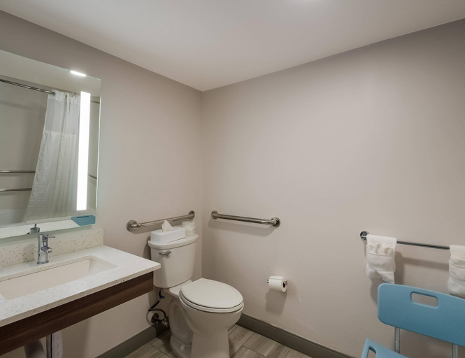 Bathroom 4, Comfort Inn Falls Church - Tysons Corner, Fairfax